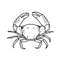 crab vector illustration