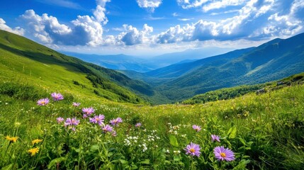 Obraz premium Mountain Meadow Wildflowers Summer Landscape - Nature photography: .