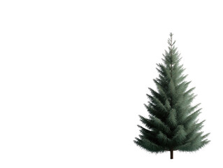 Obraz premium Minimalist Evergreen Christmas Tree on White Background