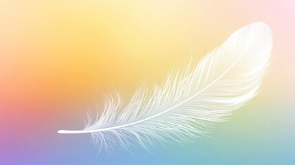 Obraz premium White feather on pastel background, light, airy, calm