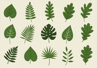 A flat illustration of various types of leaves