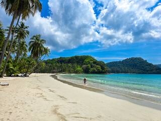 Tranquil atmosphere at Koh Kood Island features soft sandy shores and lush palm trees. A solitary figure walks along the shore, embracing the sunlit tropical paradise surrounded by clear waters.