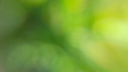 Obraz premium Soft bokeh green light blurred noise grainy background