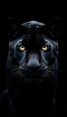 Obraz premium Close-up of a black panther's face in the middle of a black background, animal features, closeup