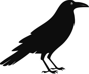 crow silhouette illustration