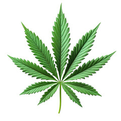 A fresh cannabis leaf with sharp edges, isolated on a transparent background. --s 750