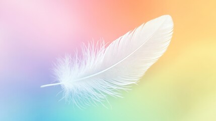 Soft White Feather on Pastel Background