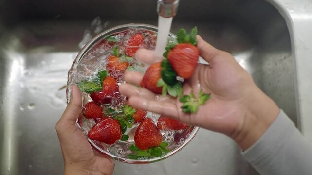 Cleaning fresh strawberries in a sink with running water