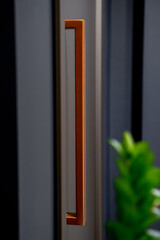 Door Details, Human Presence