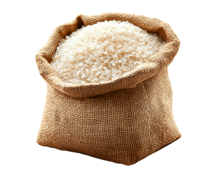 Rice in Burlap Sack with Spilled Grains Isolated on Transparent Background