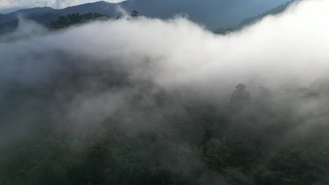 Drone footage fog over the mountains