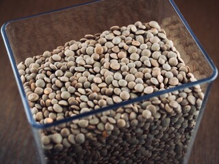 유기농 렌틸콩, 콩, 요리재료 