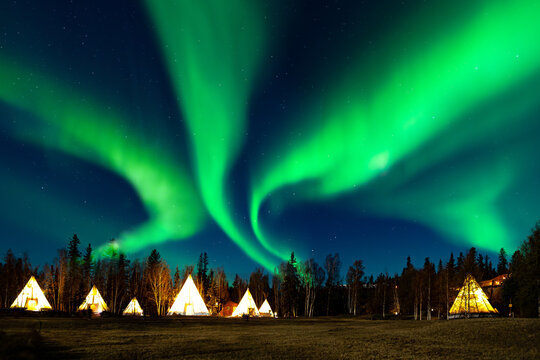 The breathtaking aurora borealis dances across the night sky in Yellowknife, Northwest Territories, Canada, with vibrant green and purple lights illuminating the snow-covered landscape