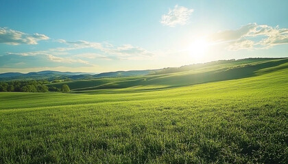 Obraz premium Serene green grass field bathed in sunlight on a clear summer day