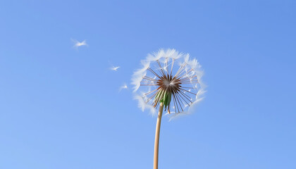 Dandelion Seeds Floating Away in a Vivid Blue Sky: A Breathtaking Image of Nature's Tranquility