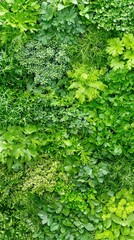 Lush green herb garden urban rooftop photography vibrant environment aerial view plant diversity