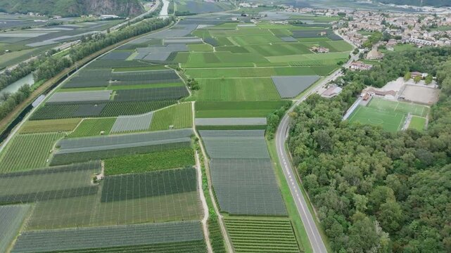 Aerial footage flying over grape vineyards and farms in northern Italy.