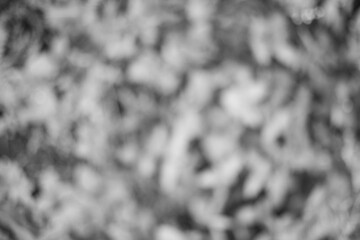 Intricate layers of out-of-focus foliage, presenting a symphony of monochromatic serenity, inviting a sense of quiet contemplation