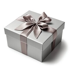 Silver Gift Box with Taupe Ribbon