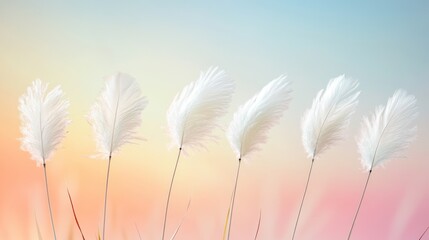 Pastel feathers blowing in gentle breeze, peaceful natural scene