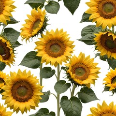 Seamless Pattern of Sunflowers
