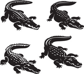 A set of d Alligator crocodile vector image