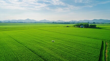 AI powered drone inspecting an agricultural field for crop health, vast green field with crops and agricultural machinery in the background, Eco-tech style