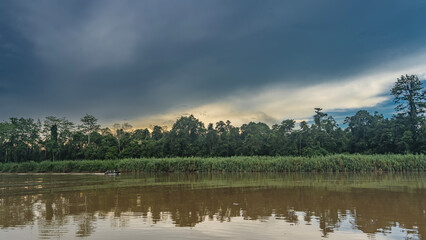 Morning in the jungles of Borneo. A tourist boat is sailing on a calm river. Thickets of green...
