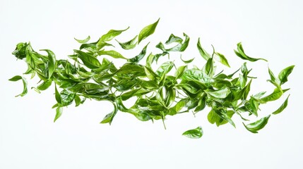 11.A visually striking image of green tea leaves swirling in the air, suspended against a blank white background, providing an ideal canvas for a minimalist design or promotional message about