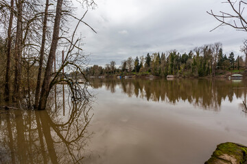Willamette River in high water period in spring