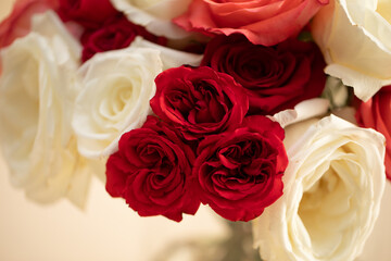 Closeup red and white and pink roses in a bouquet