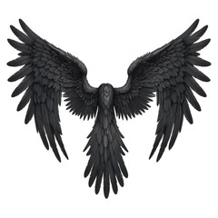 Naklejka premium Black Wings Isolated on White Background