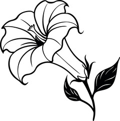 Beautiful Trumpet Vine Flower Vector Art for Nature Illustrations