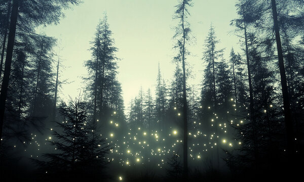 Misty Forest Illuminated by Foxfire, Will-o&rsquo;-the-Wisps, or Mysterious Alien Lights