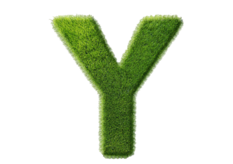 Grass font 3d rendering letter Y isolated on a transparent or white background