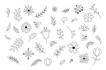 Botanical doodle elements simple vector set. Black and white illustrations of flowers, leaves, plants and berries. Decorative line art natural objects for design. Outline hand drawn floral doodles