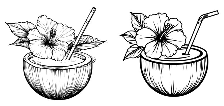 drawing of tropical drink in a coconut shell with a hibiscus flower and a straw