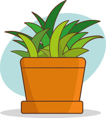 Vector illustration of a houseplant in a pot on a white background