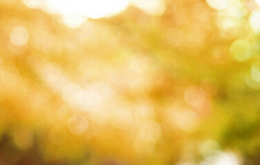 Yellow Orange light bokeh on nature abstract blur background. Soft focus autumn colors background from tree, Fall wallpaper © Ton Photographer4289
