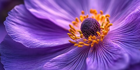 a group of purple flowers