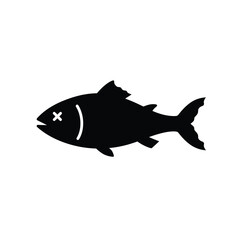 fish vector illustration