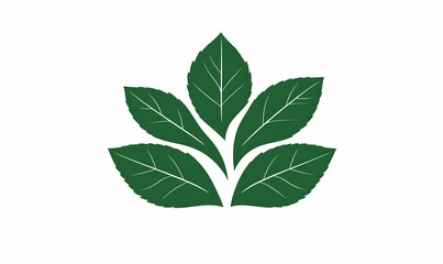 Green Leaf Icon with Line Art Design for Nature and Organic Themes