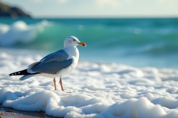 Fototapeta premium Close-up of a seagull perched on an ocean wave , marine animal, seagull