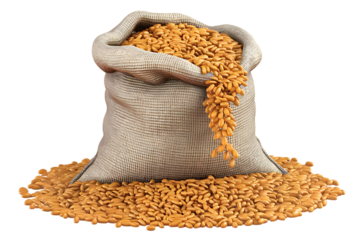 A Burlap Sack Overflowing with Golden Wheat Grains isolated on transparent background 