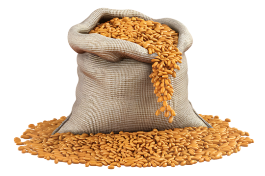 A Burlap Sack Overflowing with Golden Wheat Grains isolated on transparent background 