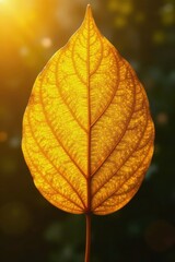 Golden yellow leaf with intricate texture, golden yellow, leaf texture