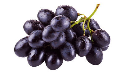 Fototapeta premium A bunch of dark purple grapes with a fresh green stem on a transparent background
