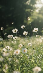 a field of white flowers