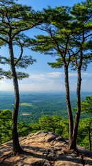 Obraz premium Scenic Overlook Trees Framed Vista Mountainous Terrain Sunlight Natural Beauty and Serene Tranquility