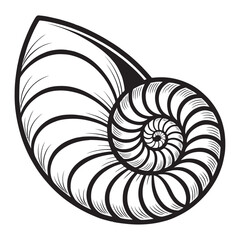 Obraz premium Ornate Nautical Shell Design in Vector Graphics